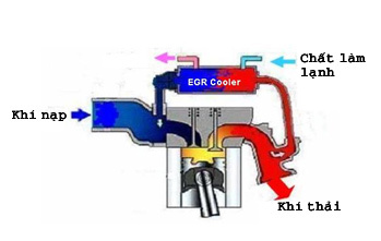 HỆ THỐNG TUẦN HOÀN KHÍ XẢ EGR